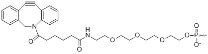 Bio-Synthesis Inc. Oligo Structure